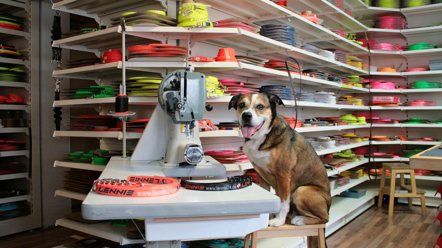 Ein Hund sitzt an einer Nähmaschine in einer Werkstatt mit bunten 