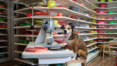 Ein Hund sitzt an einer Nähmaschine in einer Werkstatt mit bunten 
