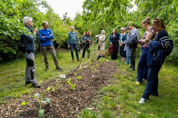 Zu sehen ist ein Garten. Um ein Beet herum stehen verschiedene Menschen.
