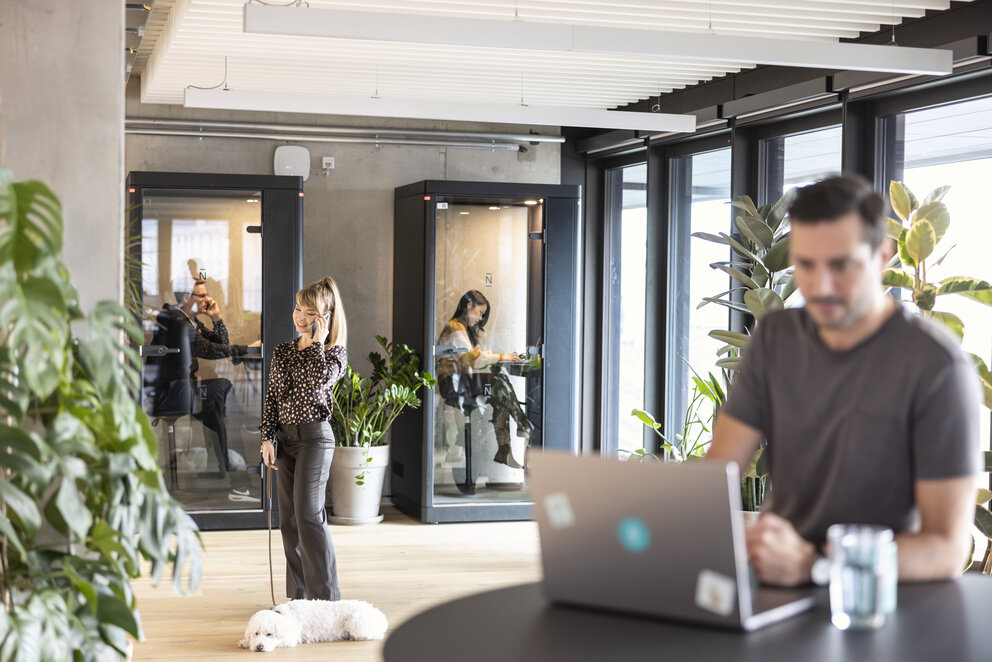 Ein helles Büro mit Arbeitskabinen, Pflanzen und fröhlichen Mitarbeitenden 
