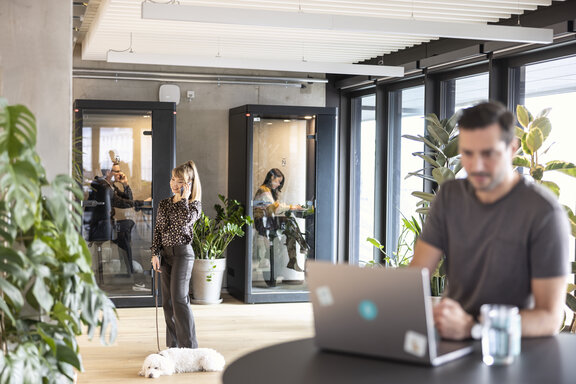 Ein helles Büro mit Arbeitskabinen, Pflanzen und fröhlichen Mitarbeitenden 