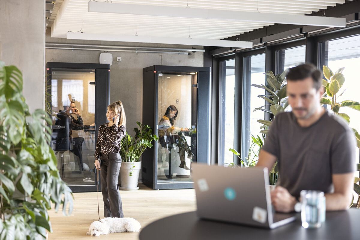 Ein helles Büro mit Arbeitskabinen, Pflanzen und fröhlichen Mitarbeitenden 