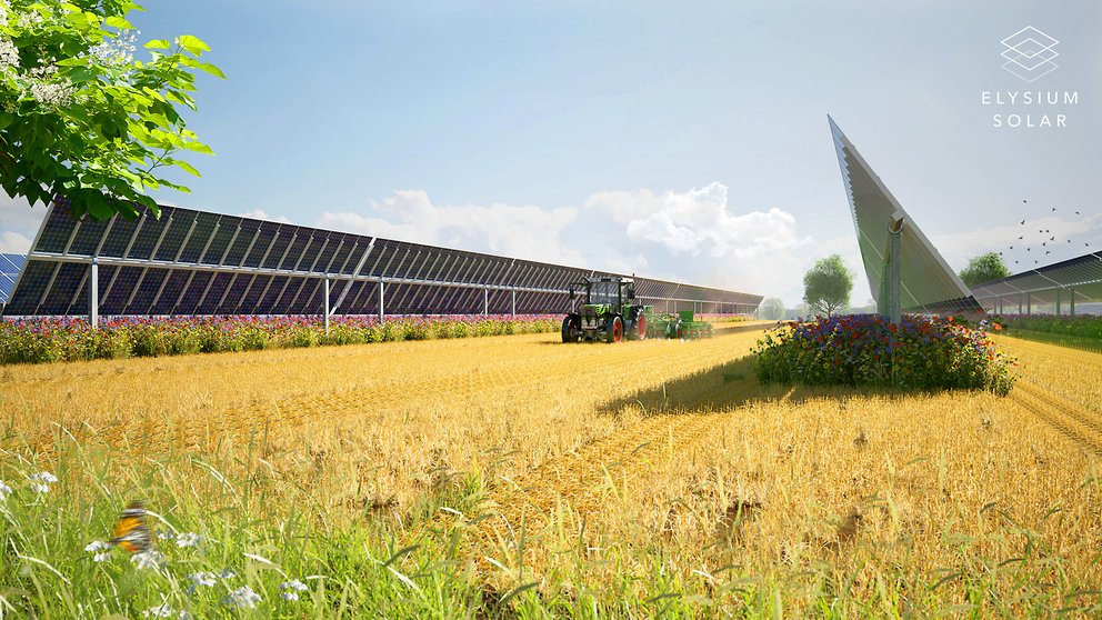 Landwirtschaftliches Feld mit goldgelbem Getreide, mehreren Solarpanelreihen und einem Traktor in der Bildmitte, rechts ein Solarpanel auf einem Blumenbeet, blauer Himmel mit Wolken.