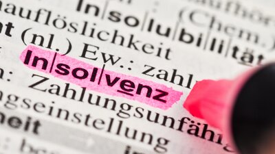 Zu sehen ist ein Duden-Eintrag zum Begriff "Insolvenz". Das Wort Insolvenz ist mit pinken Textmarker hervorgehoben.