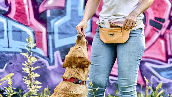 Eine Frau füttert einen Hund. 