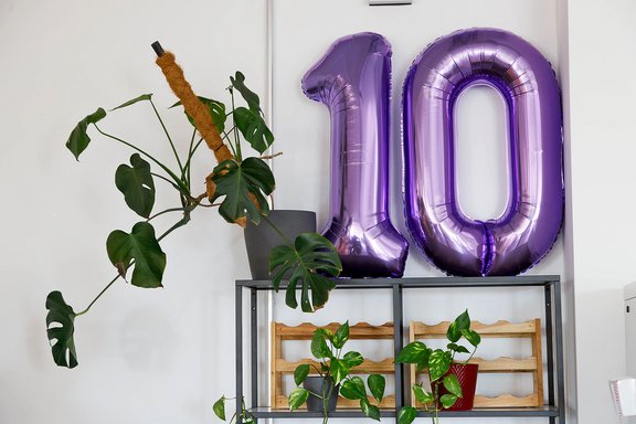Zwei lila Luftballons in Form der Zahl '10' stehen auf einem Regal neben einer großen Monstera-Pflanze und weiteren Pflanzen.