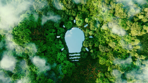 Ein Wald von Oben, in dem die Grundrisse einer Glühbirne eingezeichnet sind. 